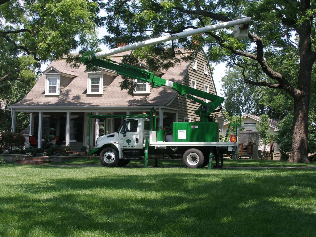 The Importance of Tree Trimming & Pruning for Your Residential Property - KC Arborists - Kansas City Tree Care