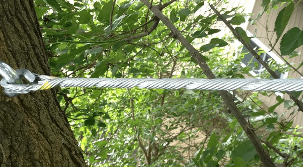 Why Tree Cabling and Bracing is Essential for Kansas City's Homeowners