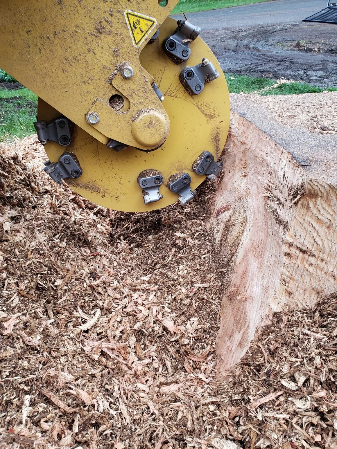 Kansas City Tree Care LLC gallery 8