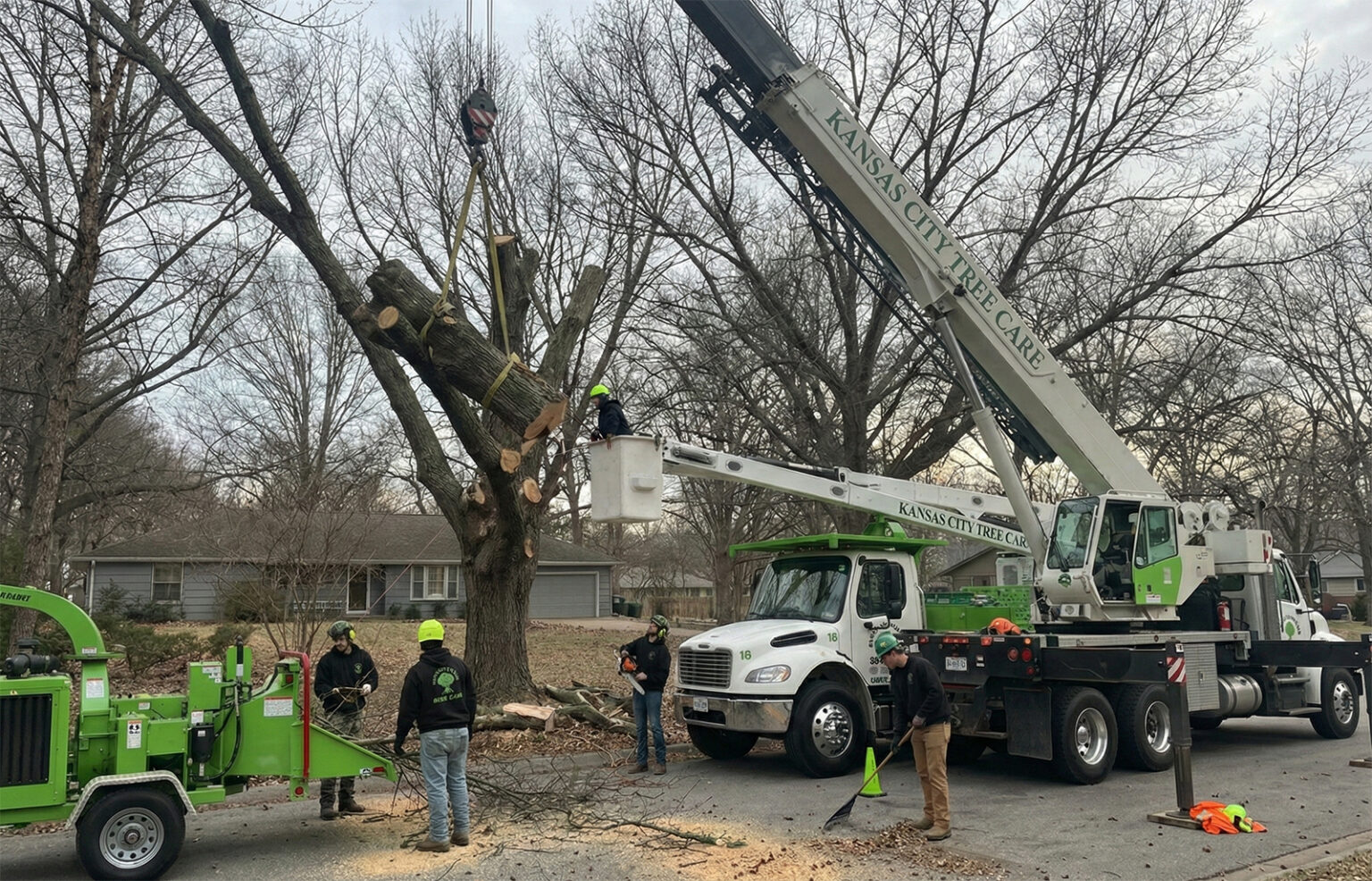 Tree Service in Kansas City | Expert Removal & Trimming Prices