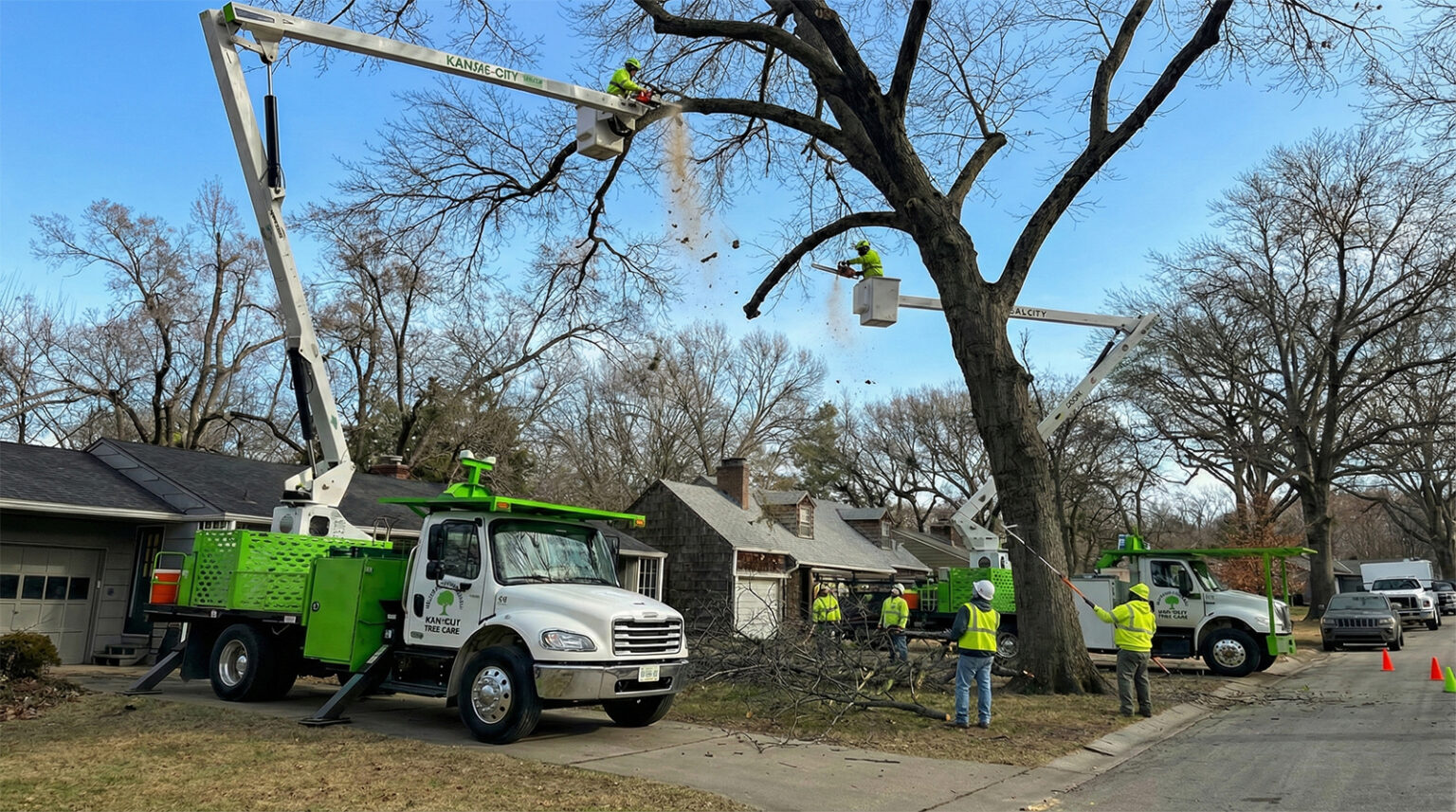Tree Service in Kansas City | Expert Removal & Trimming Prices